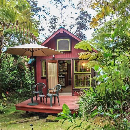Ferny Hollow: Romantic Rainforest Cottage Volcano Eksteriør billede