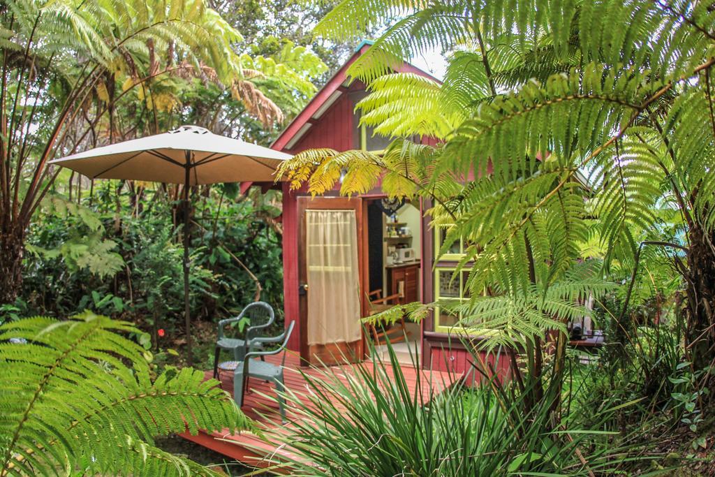 Ferny Hollow: Romantic Rainforest Cottage Volcano Eksteriør billede